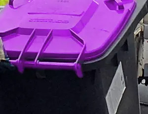 Veolia purple bin recycling
