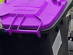 Veolia purple bin recycling