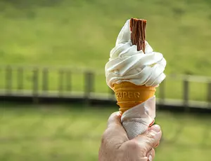 Ice cream
