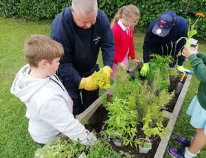 Image of school children by a raised herb bed