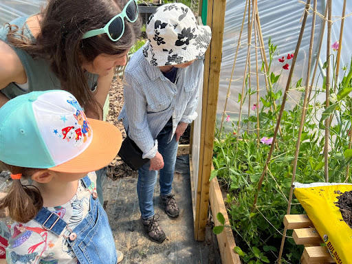 Photo of the Let's See How it Grows project showing children and an adult looking at seedlings growing