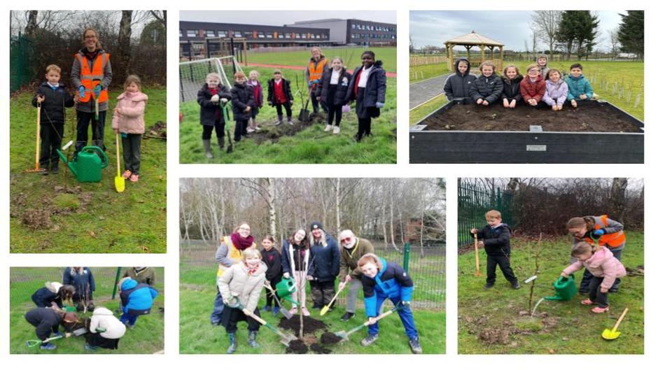 School children planting trees and strawberries